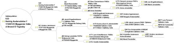 Denna bild har ett alt-attribut som är tomt. Dess filnamn är b4e58-hjaltebyslakten.jpeg