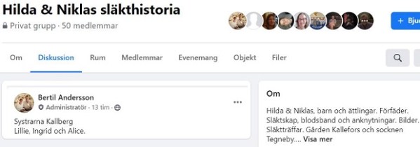 Denna bild har ett alt-attribut som är tomt. Dess filnamn är baf4f-hildeslakt.jpg