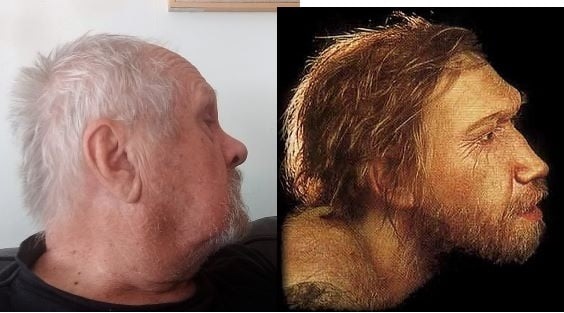 Denna bild har ett alt-attribut som är tomt. Dess filnamn är c7696-ilneander.jpg